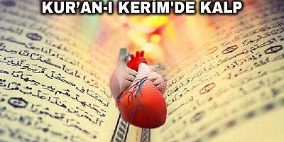 Kur’an-ı Kerim'de Kalp