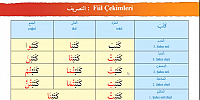 65 Fiil çekimleri 1 - Sıfırdan Arapça Eğitim Seti