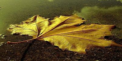 Dünyaya Tapmanın Tehlikesi