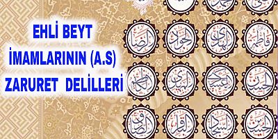 Ehli Beyt İmamlarının (a.s) Varlıklarının Zaruret ve Delilleri