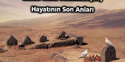 İmam Cafer-i Sadık'ın (a.s) Hayatının Son Anları