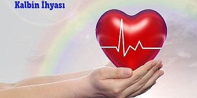 Kalbi Yumuşatan ve İhya Eden Şeyler