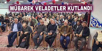 Mübarek Veladetler