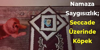 Namaza Saygısızlık; Seccade Üzerinde Köpek