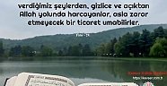 Allah Yolunda Harcayanlar