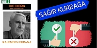 Sağır Kurbağa - Fuat Erdoğan